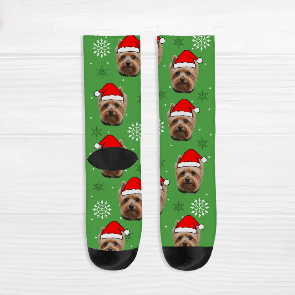 Santa Paws - Personalised socks