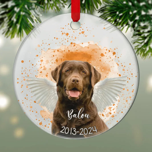 Pet portrait - Personalised acrylic ornament