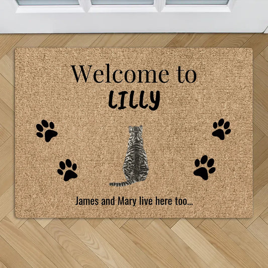 Welcome to (cats) - Personalised doormat