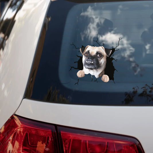 white car