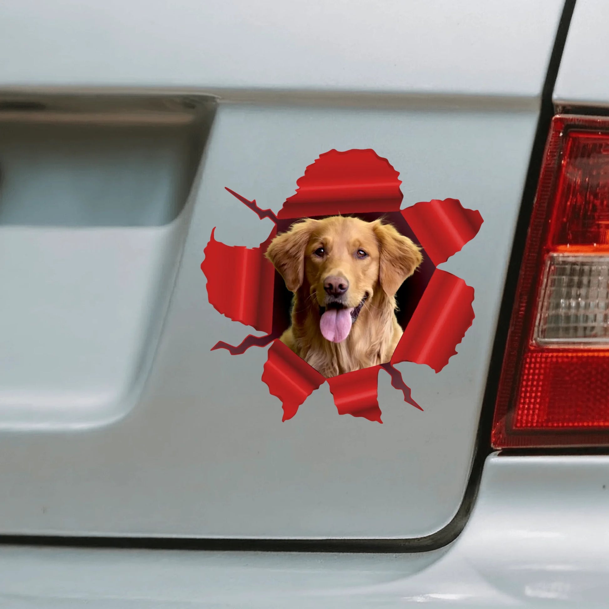 Car Sticker - SHOP NEW 1