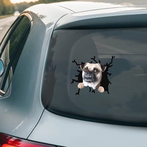 Peeking Photo Torn - Personalised Car Sticker - Featured Image