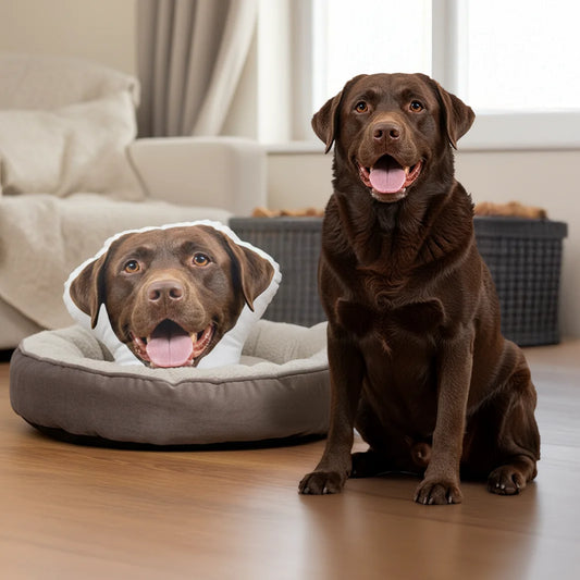 Your Photo Head - Personalised Shape Pillow