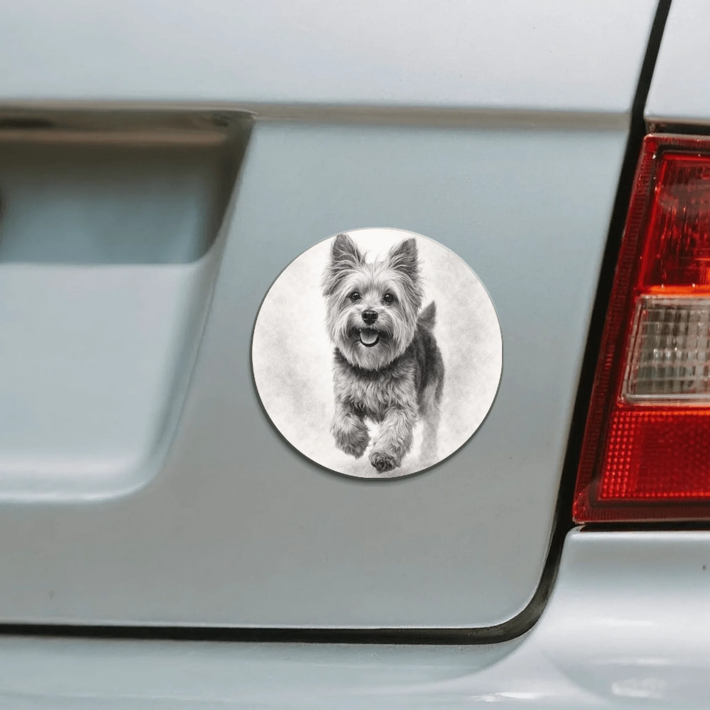 Car Magnet - SHOP - Circle