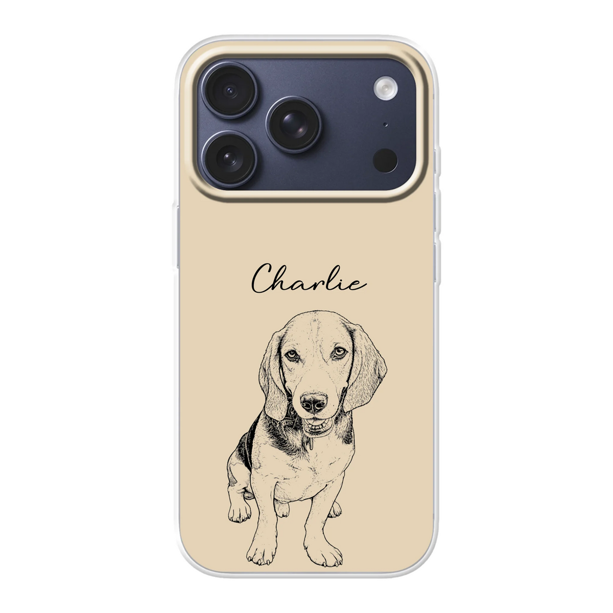 Phone Case_18 pro _ top